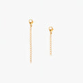 Chain Extender