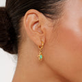 Opal Turtle Hoops